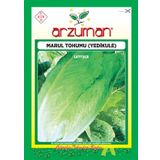YEDİKULE MARUL TOHUMU 10 GR ORT 7500 AD TOHUM