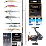 Yek Outdoor Pro Spin Olta Seti Okuma Ceymar Sw Bass 243CM Mh 14-42GR M-Fast Olta Kamışı & Shimano Makina Nasci Fd 4000 - Standart - Renkli