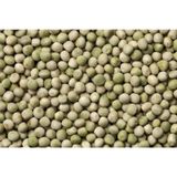 Yem Bezelyesi Tohumu Yemlik Bezelye Tohumu 500 GR