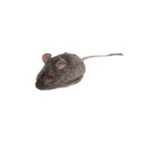 YEMCİPETSHOP KURMALI FARE KEDİ OYUNCAĞI