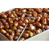 Yeni Mahsül Yumuşak Bağdat Hurması 5KG