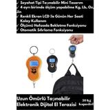 Yeni Seri Dijital El Terazisi Ekstra Hassas 50kg Dijital El Kantarı