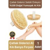 Yeni Üretim Çatlak Giderici Selülit Önleyici %100 Doğal At Kılı Ahşap Banyo Fırçası Kuru Masaj Aleti