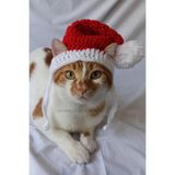 Yeni Yıl Kedi Köpek Şapkası Yılbaşı Noel Kırmızı Uzun Örgü Bere Pet Aksesuarları