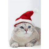 Yeni Yıl Kedi Şapkası Lastikli Yılbaşı Şapkası Yetişkin Kedi (Yetişkin)