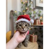 Yeni Yıl Kedi Şapkası Lastikli Yılbaşı Şapkası Yetişkin Kedi