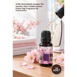 Yenilig 10 Adet Japon Kiraz Çiçeği Esansiyel Koku – 10 ml Buhardanlık Çamaşır Ütü Uyumlu, Kalıcı Çiçeksi Aroma, Esans Yağı Fragrance Oil