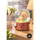 Yenilig 10 Adet Kar Küresi – Karakterli Müzikli Dekoratif Cam Fanus, Orta Boy Işıklı Kar Taneli Biblo Snow Globe