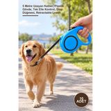 Yenilig 10 Adet Makaralı Otomatik Köpek Tasması – 5 Metre Uzayan Kemer, Plastik Gövde, Tek Elle Kontrol, Stop Düğmesi, Retractable Leash
