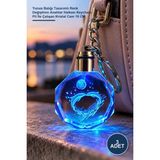 Yenilig 3 Adet Işıklı Kristal Anahtarlık – Yunus Balığı Tasarımlı Renk Değiştiren Anahtar Halkası Keychain, Pil Ile Çalışan Kristal Cam 10 cm