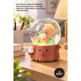 Yenilig 4 Adet Kar Küresi – Karakterli Müzikli Dekoratif Cam Fanus, Orta Boy Işıklı Kar Taneli Biblo Snow Globe