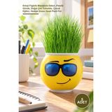 Yenilig 5 Adet Cim Adam Saksı – Emoji Figürlü Masaüstü Dekor, Plastik Gövde, Doğal Çim Tohumlu, Çocuk Eğitici, Hediye Grass Head Plant Pot