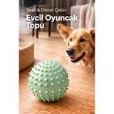 Yenilig Sesli Dikenli Evcil Hayvan Oyuncak Topu | Dikkat Çekici & Dayanıklı Oyun Topu