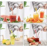 Yenilikçi Meyve Sıkacağı 2000W, 0-250ML, Gri, Portakal ve Limonata Hazırlama Aparatı - Altın - Gri