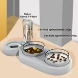 YeniTech Çift Hazneli Kedi Mama ve Su Kabı – 550 ml Su Şişeli, 15° Eğik Tasarım, Otomatik Mama Kabı - Gri - Doğal