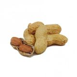 Yer Fıstığı Çiğ Kabuklu 250 G