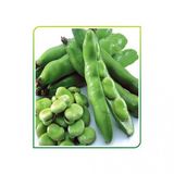 Yerli Ata Tohumu Sakiz Bakla 50 Gr