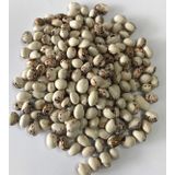 YERLİ AYŞE KADIN OTURAK FASULYE TOHUMU 500 GR (KAHVE ÇİZGİLİ BEYAZ)