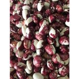 Yerli Ayşe Kadın Sırık Fasulye Tohumu 100 Gr (Mor Beyaz)
