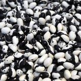 YERLİ AYŞE KADIN SIRIK FASULYE TOHUMU 500 GR (SİYAH LEKELİ)