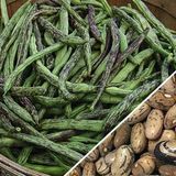 Yerli Çilli Kız Sırık Fasulye Tohumu 100 gr