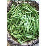 Yerli Eymen Oturak Fasulye Tohumu 100 Gr
