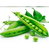 Yerli İri Tane Bezelye Tohumu (İlaçlı) 500 Gr