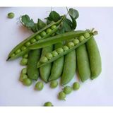 Yerli İri Tane Bezelye Tohumu (İlaçsız) 500 Gr