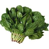 Yerli ıspanak tohumu 25 gr (ort 2000 ad)
