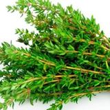 YERLİ KEKİK TOHUMU 5 GR ORT 5000 ADET TOHUM