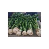 Yerli Kereviz Tohumu - açık tohum 20 gr patlican0112