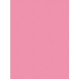 Yerli Sınar Fon Kartonu 50X70 Cm 120 Gr. Pembe 100 Lü (1 Paket 100 Adet)