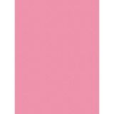 Yerli Sınar Fon Kartonu 50X70 Cm 120 Gr. Pembe (100 Lü Paket) - Yok