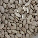 Yerli sırık alman ayşe fasulye tohumu (500 gr)