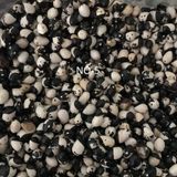 YERLİ SIRIK AYŞE KADIN FASULYE TOHUMU 100 GR (SİYAH BEYAZ)