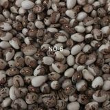 YERLİ SIRIK AYŞE KADIN FASULYE TOHUMU 500 GR (KAHVE ÇİZGİLİ BEYAZ