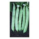 Yerli Sırık Şeker Fasulye Tohumu 100 GR N114098