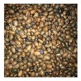 Yerli Sırık Uzun-Enli Turşuluk Fasulye 500 Gr (Boz)