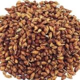 Yerli Süpürge Otu Tohumu 25 Gr