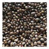 YERLİ UZUN-ENLİ ERKEN SIRIK FASULYE TOHUMU 100 GR (ALACALI)