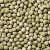 Yerli Yem Bezelyesi Tohumu (Külür) 100 gr