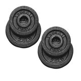 Yes4All 2,94 cm (2,94 cm) dökme demir ağırlık plakaları seti, standart dambıl plakaları seti (1,25 + 1,1 kg, 4'lü set)