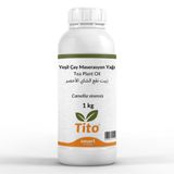 Yeşil Çay Maserasyon Yağı Camellia sinensis 1 kg