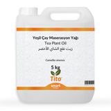 Yeşil Çay Maserasyon Yağı Camellia sinensis 5 kg