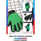 Yeşil Evcil Hayvan Tüy Toplayıcı ve Masaj Eldiveni, Tarama ve Bakım Aracı - Capicino - Seçenek 1