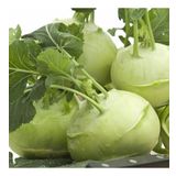 Yeşil Kohlrabi(Alabaş) Tohumu (20 Tohum)