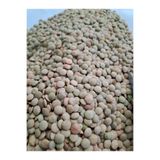 Yeşil Mercimek (Yerli) - 2 kg