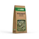 Yeşil Pazar Aslan Pençesi (Testere Dişli) 20 gr