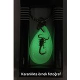 Yeşil Renk Akrep Fosilli Anahtarlık Model 4