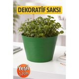 Yeşil Renk Kırılmaz Esnek Plastik Balkon Saksısı 12 cm Orkide Genel Kullanım Saksı